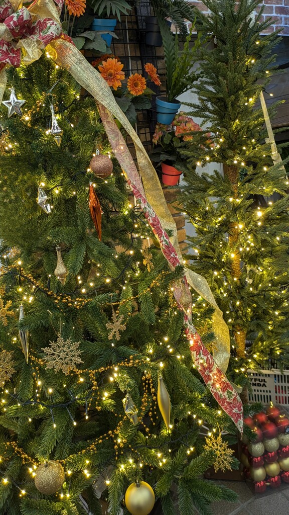 1000031798　クリスマスシーズン