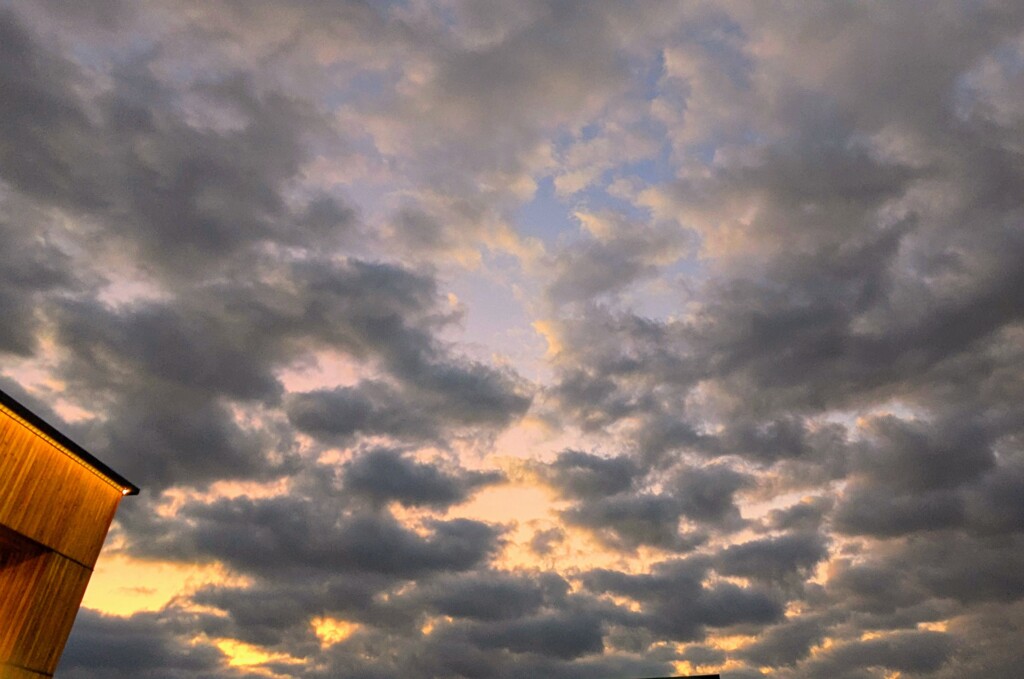 1000031890　空を見上げて　夕空と雲と
