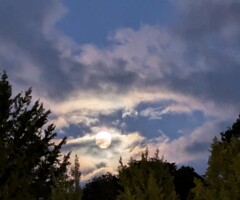 1000031791　今宵の月は格別に