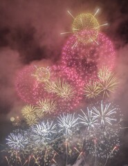 1000058492こうのす花火大会