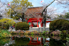 リフレクション