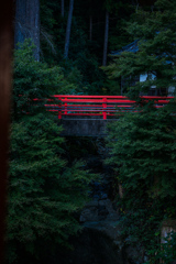 暗い木々の先に朱色の橋