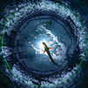ヨシキリザメ　四国水族館【神無月の景】①