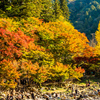 香嵐渓　紅葉狩り⑦