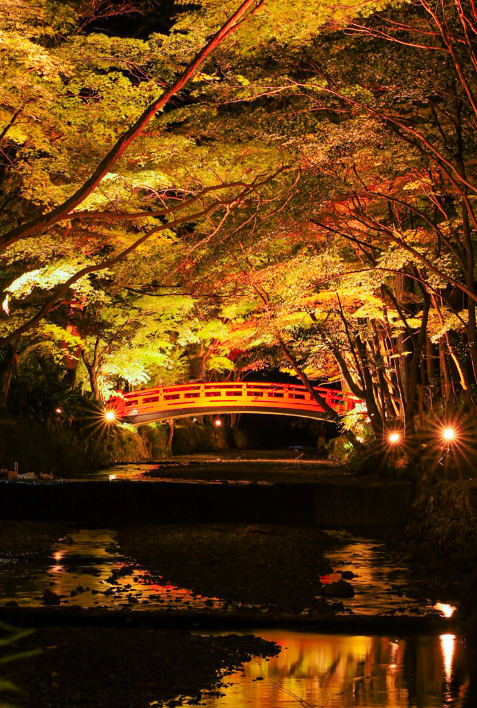 小國神社　紅葉