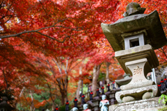大山寺　石灯籠