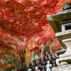 大山寺　石灯籠