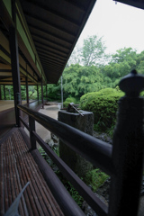 丈山苑　深緑の庭園③