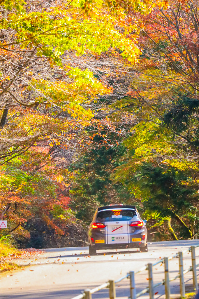 ラリー・ジャパン稲武SS　紅葉⑥