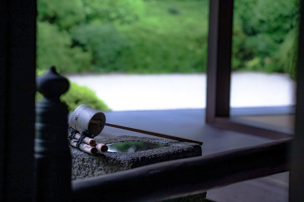 丈山苑　深緑の庭園④