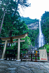 那智の滝①
