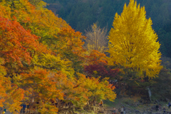 香嵐渓　紅葉狩り⑨