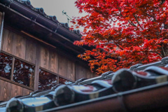 金沢　街撮り⑩