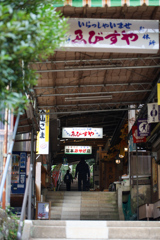 こま参道　懐旧の情