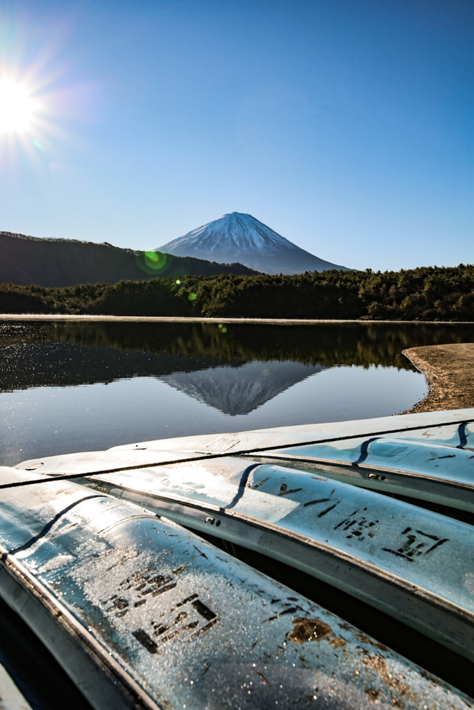 富士山　西湖②