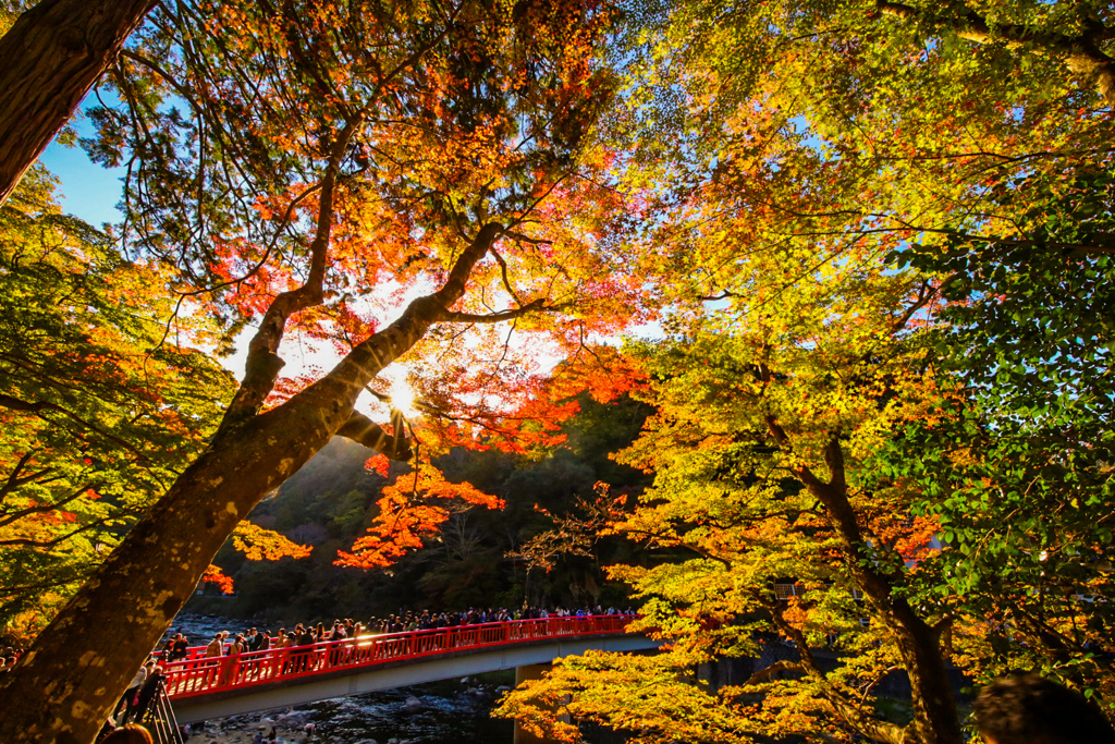香嵐渓　紅葉狩り③