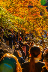 香嵐渓　紅葉狩り⑫
