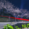 夜桜ビーム①
