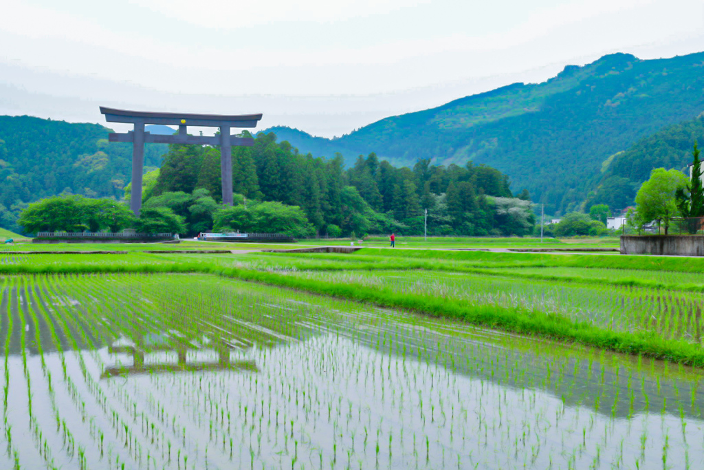 大斎原大鳥居③