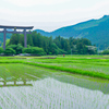 大斎原大鳥居③