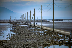 長部田海床路　干潮①