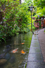 郡上八幡街並みスナップ⑦