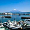 田子の浦　富士山②