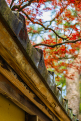 金沢　街撮り②