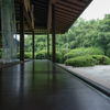 丈山苑　深緑の庭園②