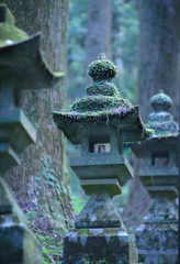 苔のむすまで
