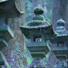 苔のむすまで