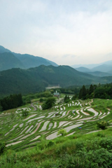 丸山千枚田①