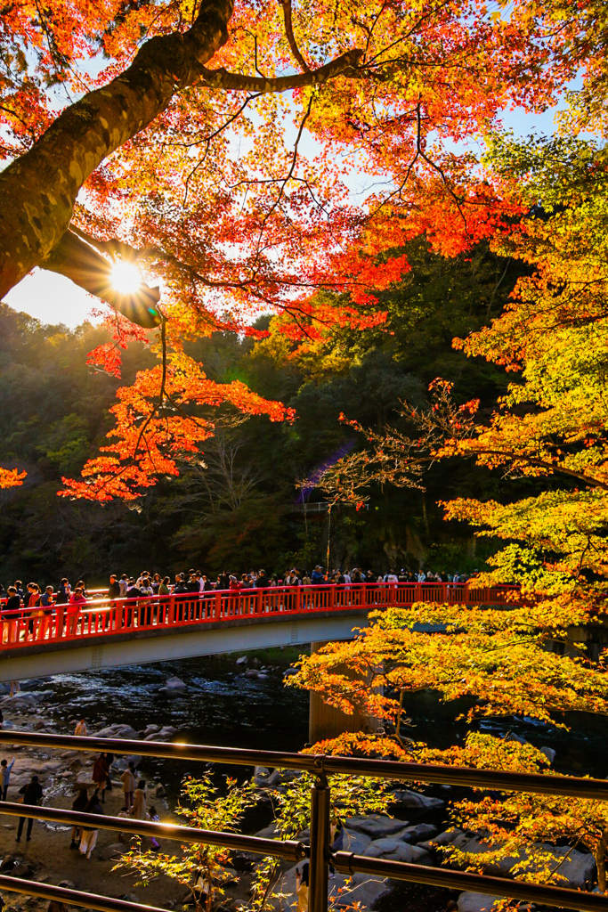 香嵐渓　紅葉狩り①