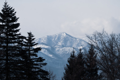 遠く眺める雪山