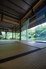 丈山苑　深緑の庭園①