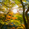 香嵐渓　紅葉狩り⑤
