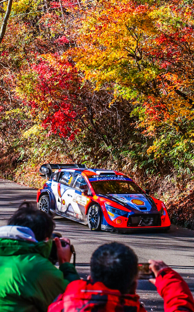 ラリー・ジャパン稲武SS　紅葉⑤