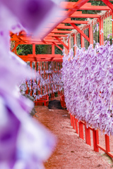 金沢　街撮り　石浦神社