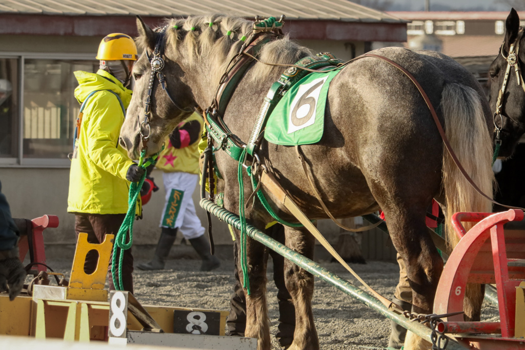 ばん馬　帯広競馬場③