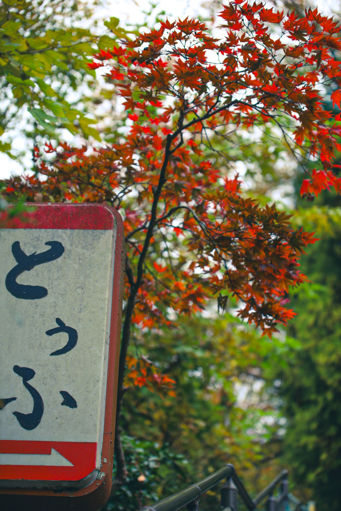 とうふの字