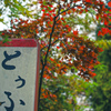 とうふの字