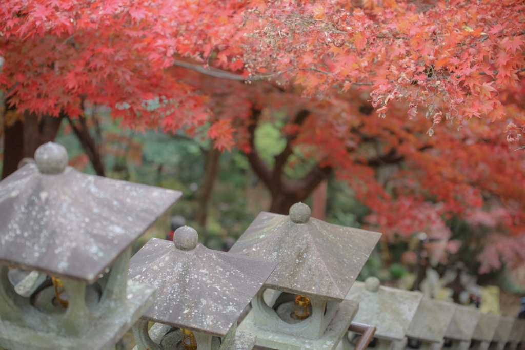 大山寺　参道④