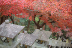 大山寺　参道④