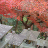大山寺　参道④