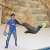 アシカショー　鳥羽水族館