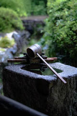 丈山苑　深緑の庭園⑤