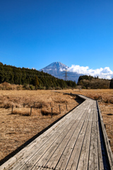 富士山　小田貫湿原②