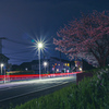 夜桜ビー厶④