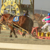 ばんえい競馬⑦