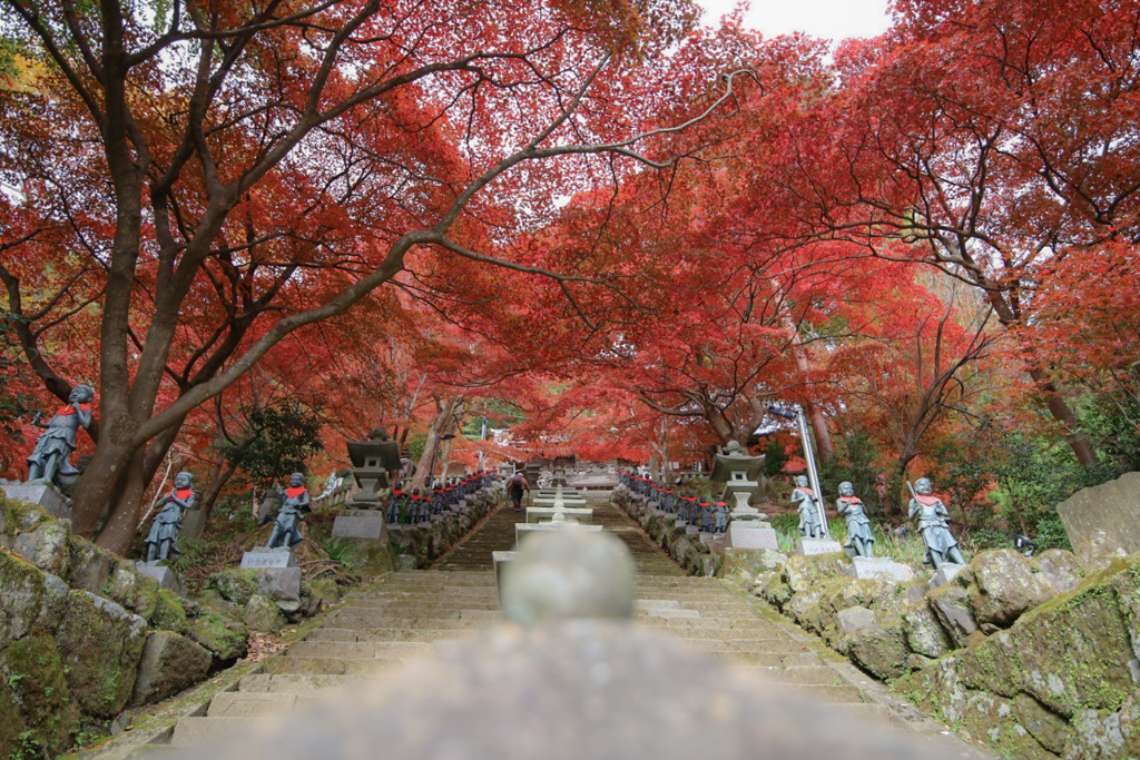 大山寺の紅葉